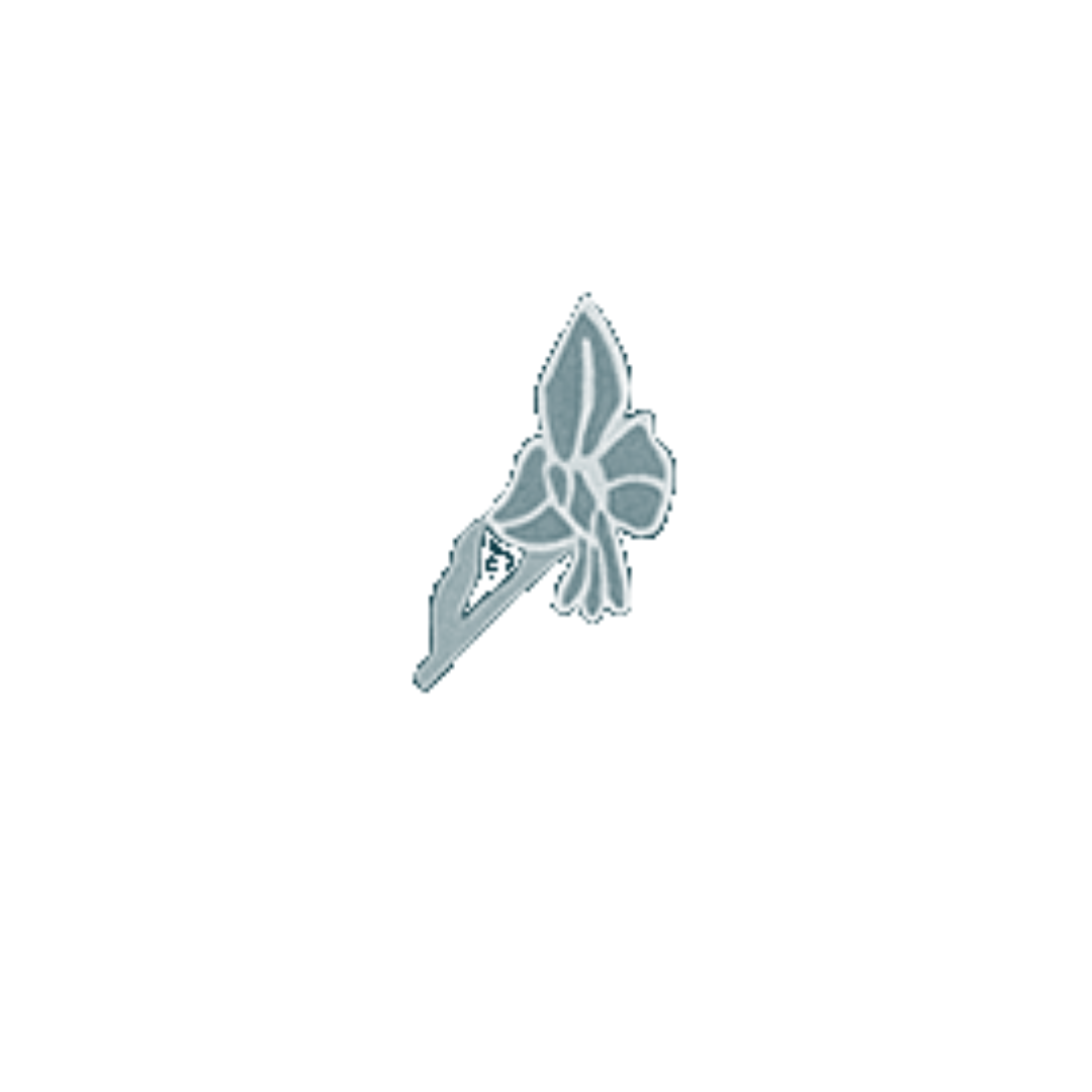 Industry leader logo 3
