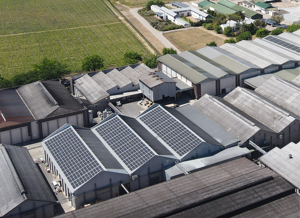 KWV Paarl - Image 4